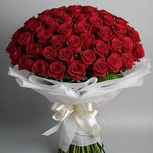 Букет 101 Красная роза Блэк Мэджик в Чагоде