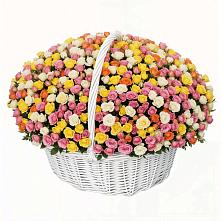 Премиум букет из: Розы в Чагоде