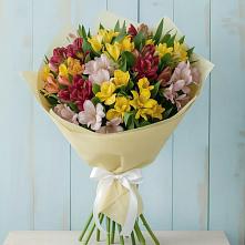 Букет цветов из:  Альстромерии #REPLACE_PRED# Чагоде