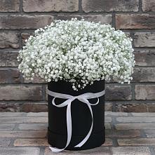 Цветочная композиция из Гипсофила в шляпной коробке в Чагоде