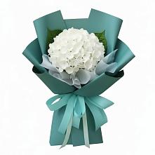 Букет цветов из:  Гортензия #REPLACE_PRED# Чагоде